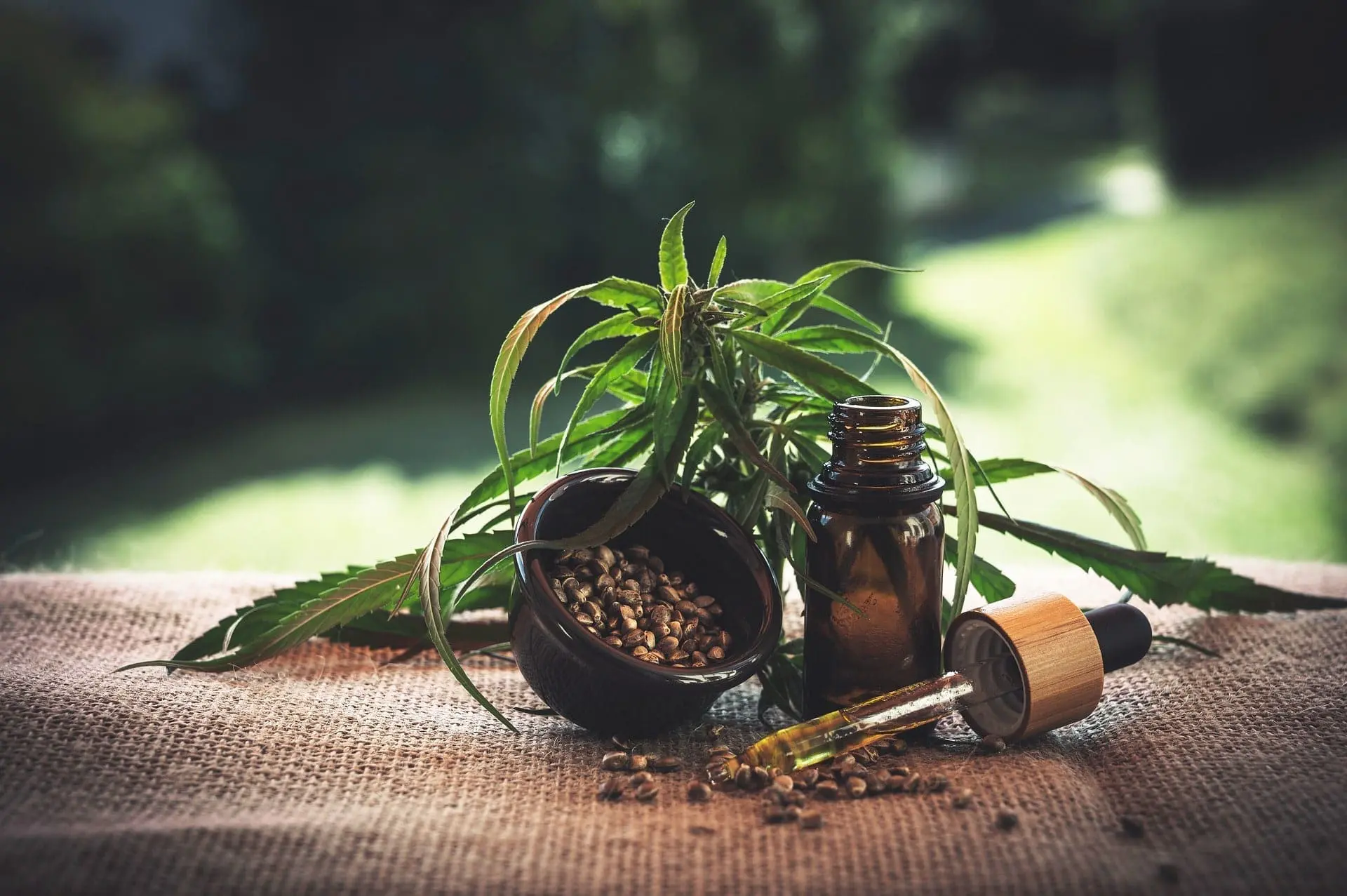 Regulation of medical marijuana