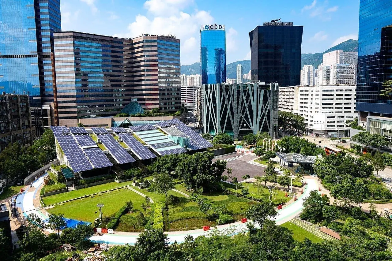 Emergence of net-zero carbon cities